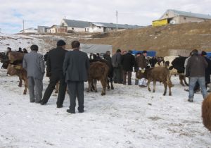 Erzurumlu besiciler zorda